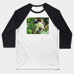 White Chested Monkey Perching in Tree Baseball T-Shirt